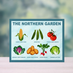 Jardin potager du Nord