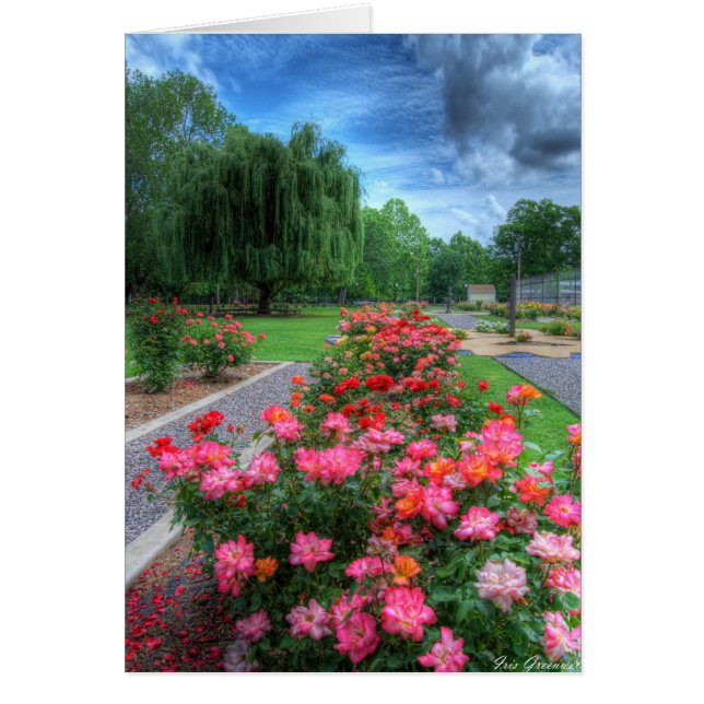 Jardin rose (Devant)