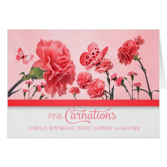 Jardin rose oeillet avec papillons Vide (Devant Horizontal)