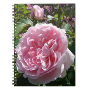 Jardin rose Vintage Rose Floral Fleurs Carnet