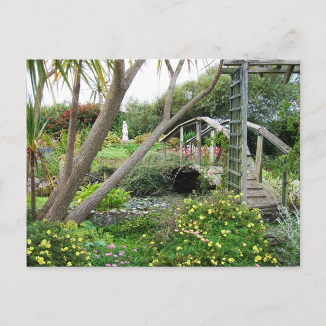 Jardin sauvage, Clare, Irlande Cartes postales (Devant)