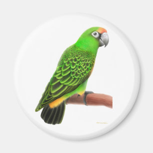 Jardines Parrot Magnet