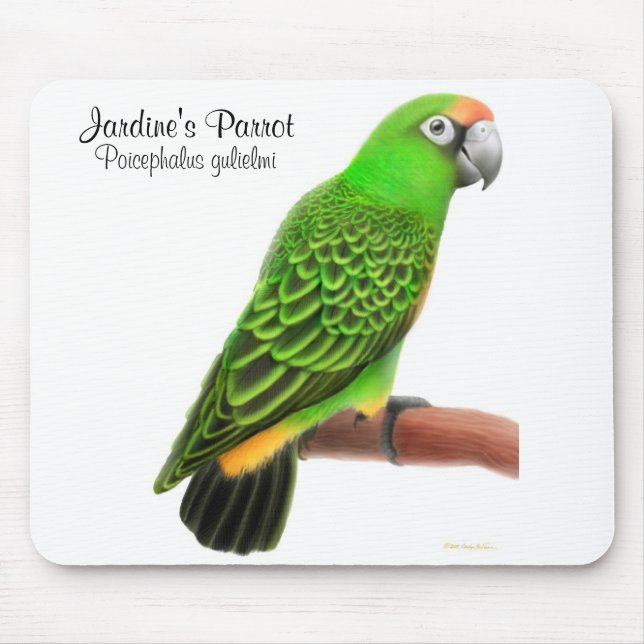Jardine's Parrot Mousepad (Front)