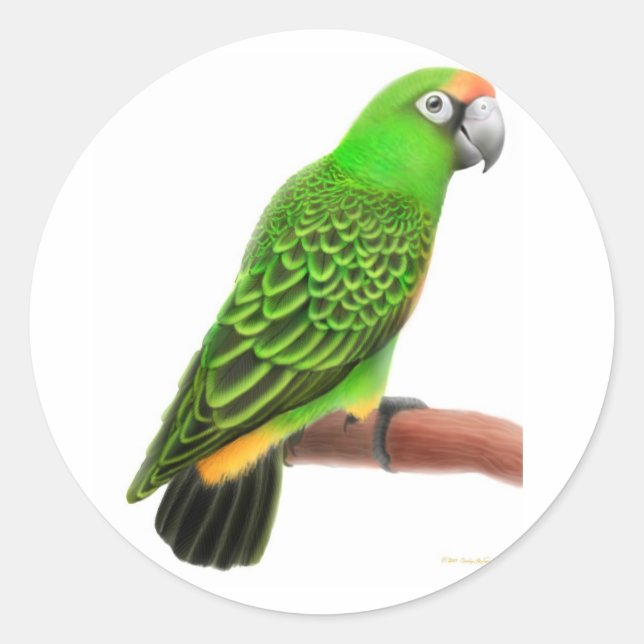 Jardines Parrot Sticker (Front)