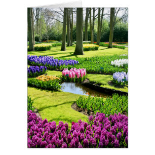 JARDINS DE KEUKENHOF, LISSE HOLLANDE