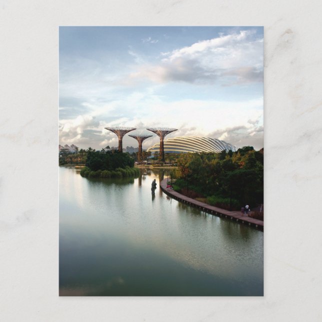Jardins de la Baie, Singapour - Carte postale (Devant)