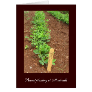 Jardins de légumes de Monticello