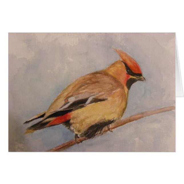 Jaseur de cèdre (Devant horizontal)