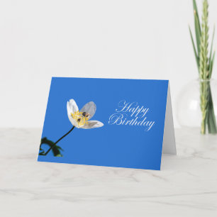 Jasmine and Bumblebee Card