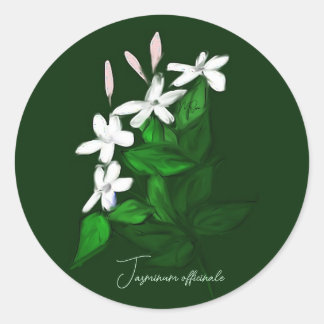 Jasmine Classic Round Sticker