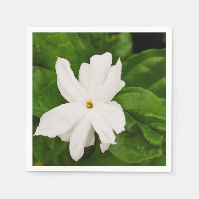 Jasmine Flower Napkin (Front)