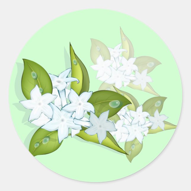 Jasmine flowers stickers (Front)
