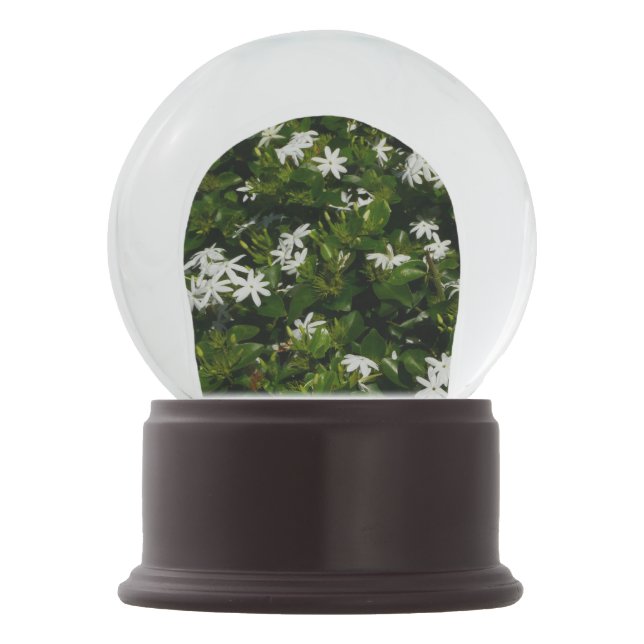 Jasmine Flowers Tropical Botanical Floral Snow Globe (Back)