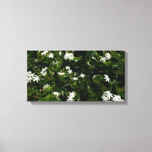 Jasmine Flowers Tropical Floral Botanical Canvas Print