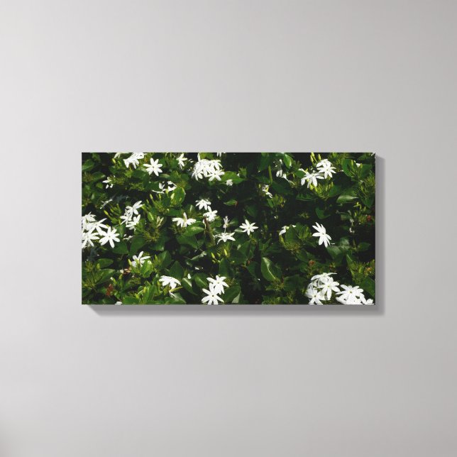 Jasmine Flowers Tropical Floral Botanical Canvas Print (Front)