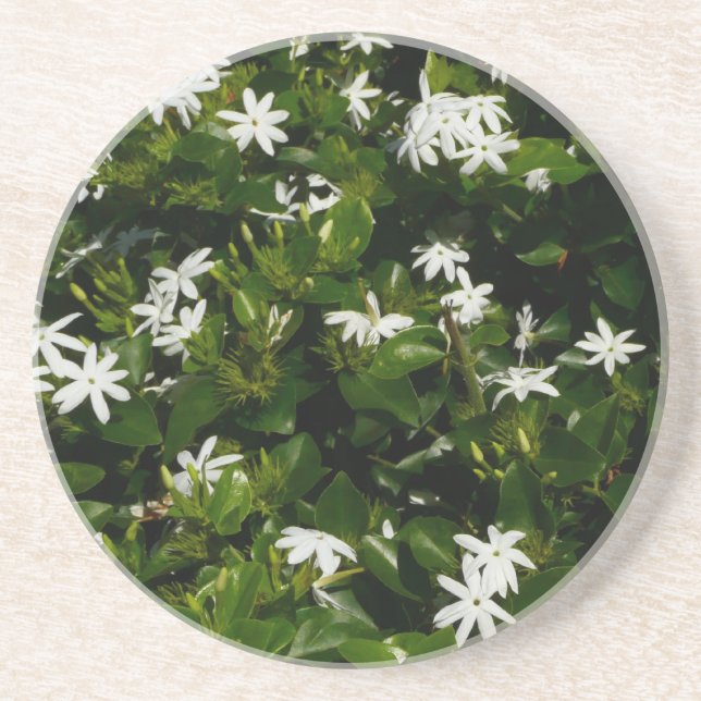 Jasmine Flowers Tropical Floral Botanical Coaster (Front)