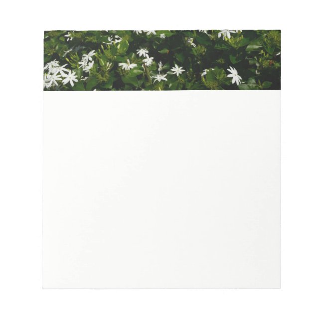Jasmine Flowers Tropical Floral Botanical Notepad (Front)