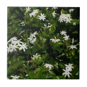 Jasmine Flowers Tropical Floral Botanical Tile