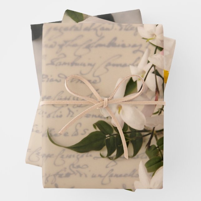 Jasmine on old handwriting wrapping paper sheet (In situ)