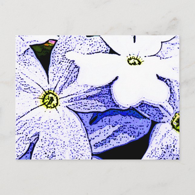 Jasmine Postcard (Front)