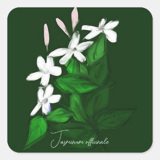 Jasmine Square Sticker