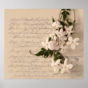 jasmine sur l'ancienne écriture manuscrite poster 