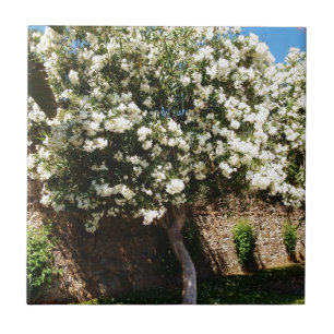 Jasmine Tree In Bloom Tile