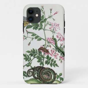 Jasmine: with snake, moth, caterpiller and chrysal iPhone 11 case