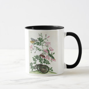 Jasmine: with snake, moth, caterpiller and chrysal mug
