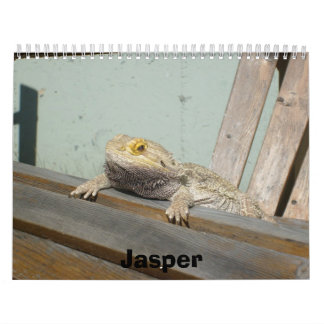 Jasper 2009 Calendar