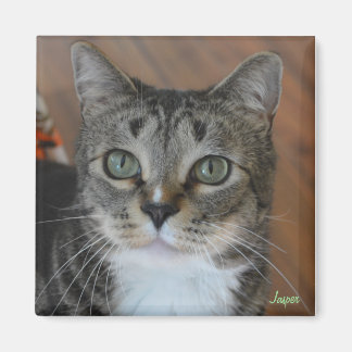 Jasper Magnet