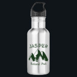 Jasper National Park 532 Ml Water Bottle<br><div class="desc">Jasper National Park in Alberta Canada covers an expansive region of rugged backcountry trails and mountainous terrain juxtaposed against fragile protected ecosystems as well as the world-renowned Columbia Icefield.</div>