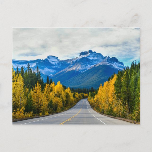 Jasper National Park, Canada in the Fall  Postcard (Front)