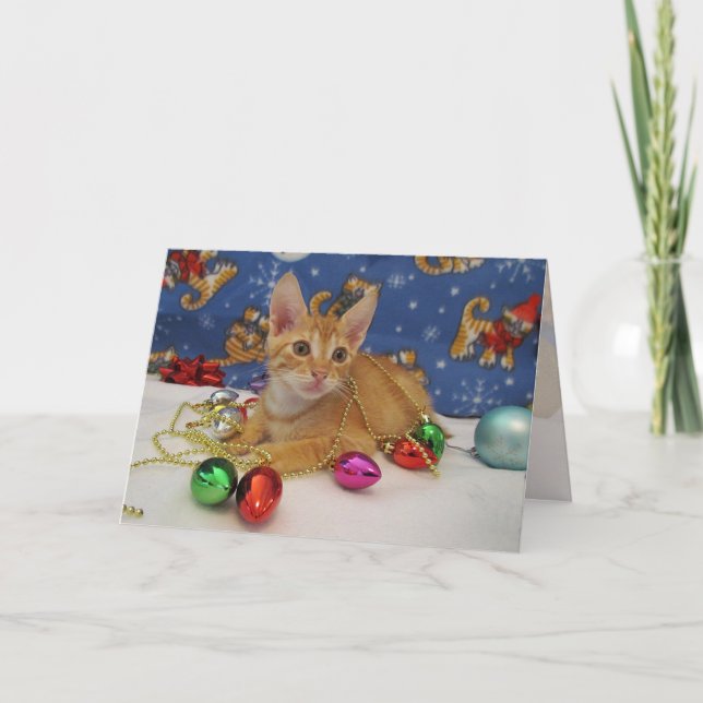 Jasper's Holiday Decorating ( Cat / Kitten) Card (Front)