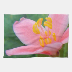 Jatropha Flower Closeup Kitchen Towel