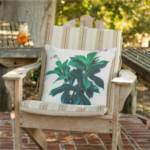 Jatropha Plant in Natural Green Outdoor Pillow