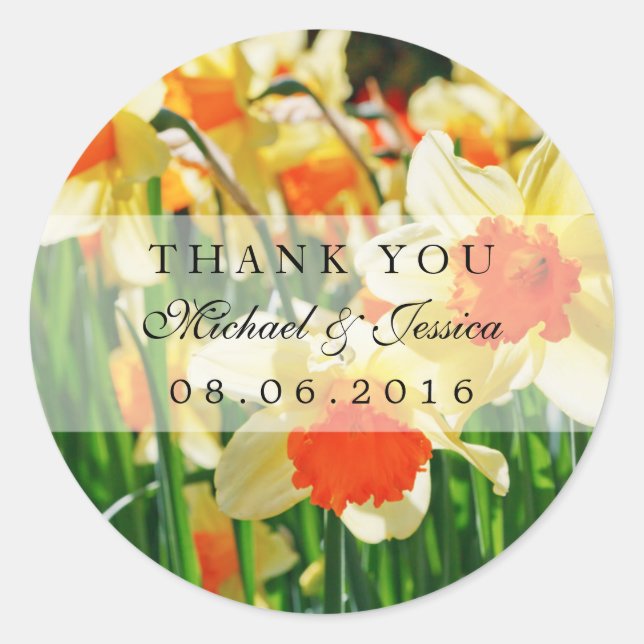 Jaune Daffodils Fleur Mariage Faveur Stickers (Devant)