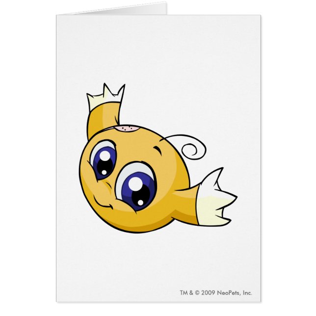 Jaune de Kiko (Devant)