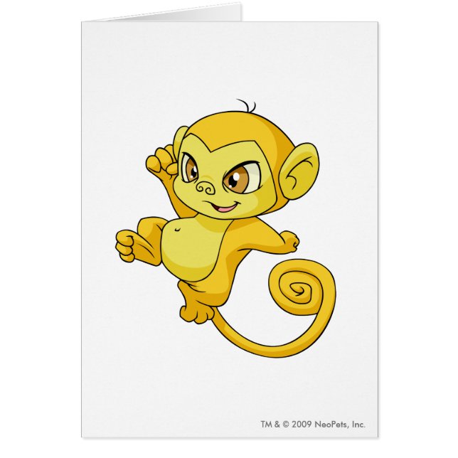 Jaune de Mynci (Devant)