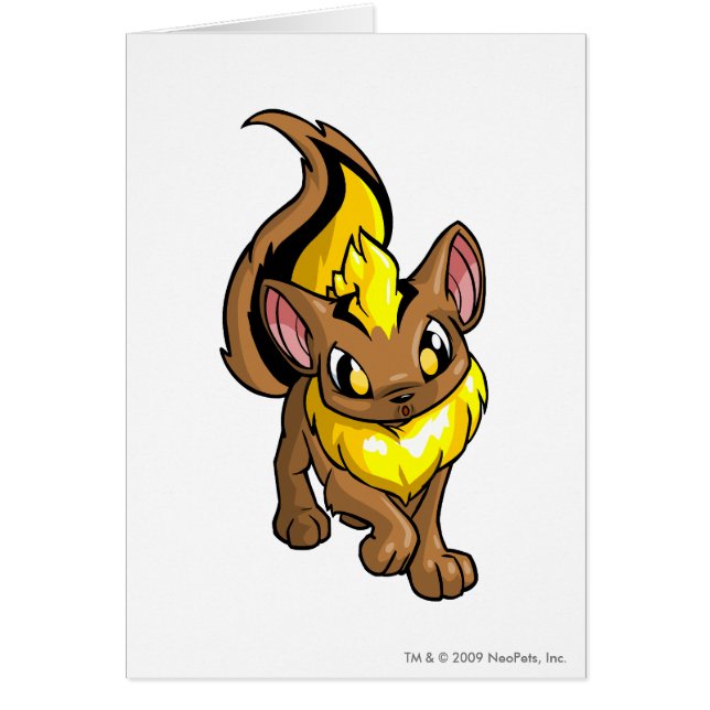 Jaune de Xweetok (Devant)