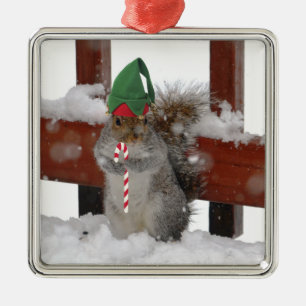 Jaunty Squirrel avec Sucre de canne Ornement de va