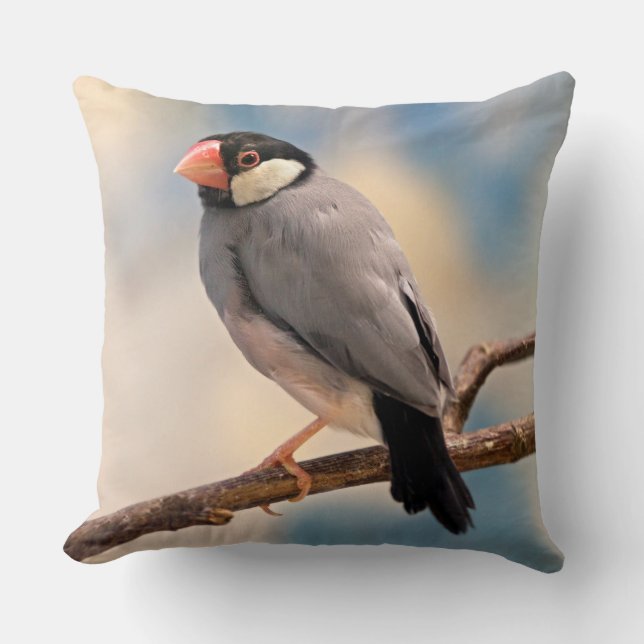 Java Finch Pillow (Front)