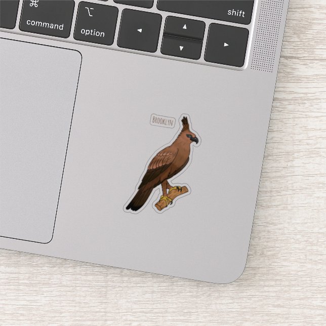 Javan hawk eagle bird cartoon illustration (Detail)