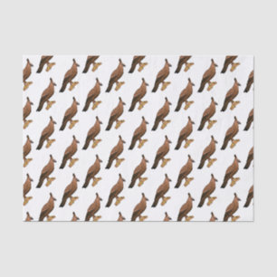 Javan hawk eagle bird cartoon illustration   tissue paper