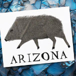 Javelina ARIZONA Desert Wild Animal Peccary Nature Postcard<br><div class="desc">Customize this cute javelina card by adding your own text. Check my shop for more!

If you buy it,  thank you! Be sure to share a pic on Instagram of it in action and tag me @shoshannahscribbles :)</div>