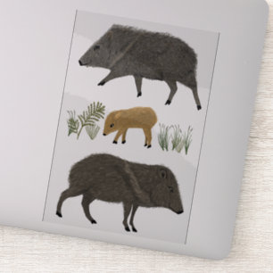 Javelina Family Desert Animals Colored Pencil Art