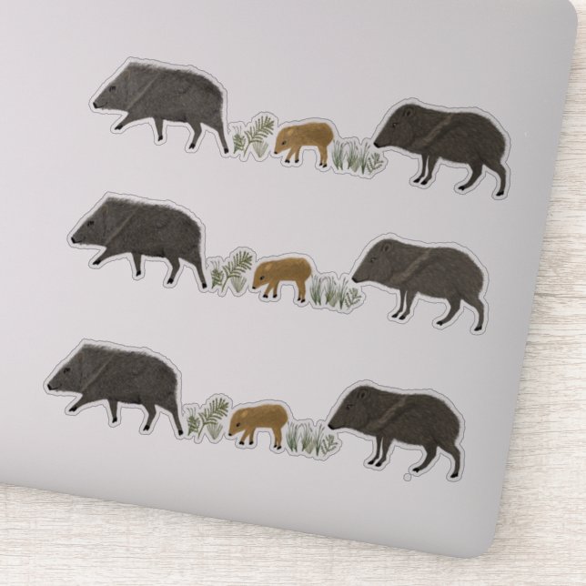 Javelina Family Portrait Coloured Pencil Art SET O (Detail)