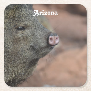 Javelina Square Paper Coaster