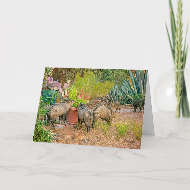 Javelinas at the Casita Card (Front)