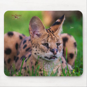 Jax Mouse Pad
